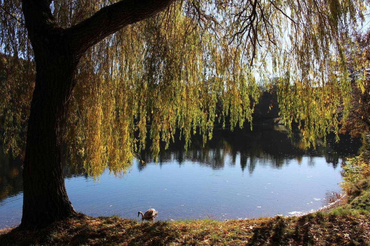 Ferienwohnungen Eifelstuben Mit Charme - Am See, Nahe Burg Ulmen Экстерьер фото