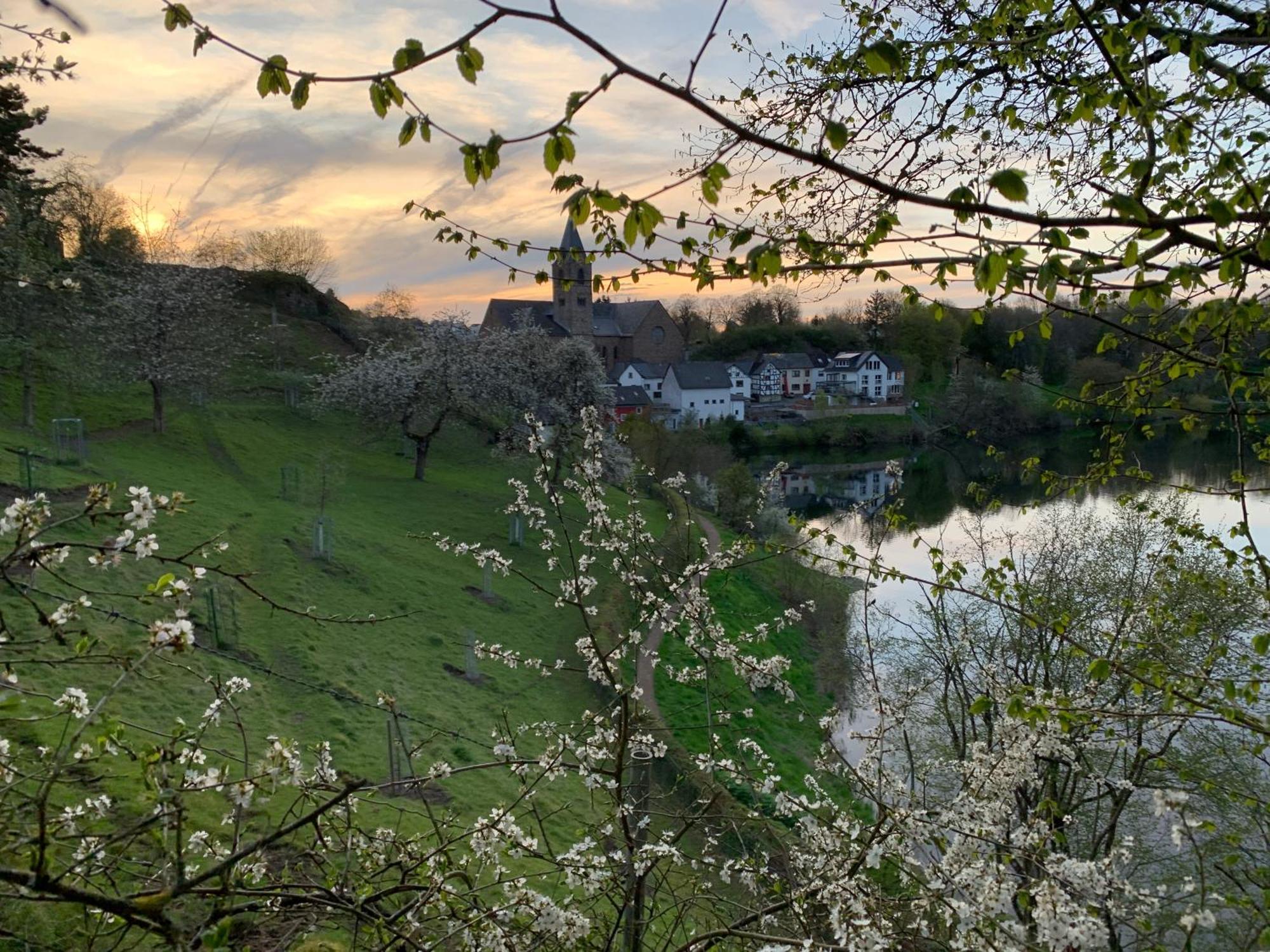 Ferienwohnungen Eifelstuben Mit Charme - Am See, Nahe Burg Ulmen Экстерьер фото